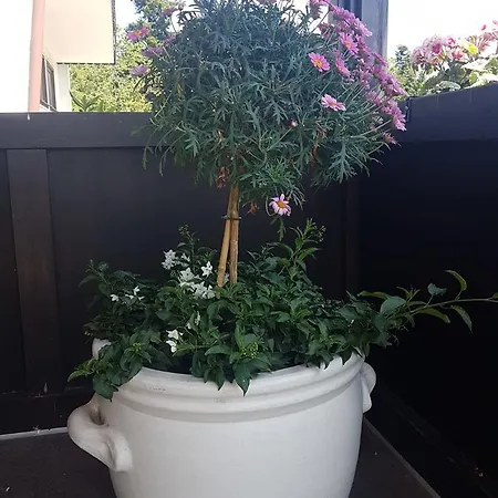 Gasthaus Garni Waldeslust 2*